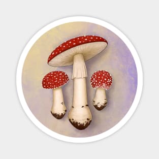 Amanita Muscaria with background Magnet